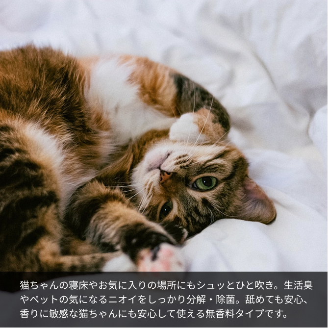 猫ちゃんの寝床やお気に入りの場所にもシュッとひと吹き。生活臭やペットの気になるニオイをしっかり分解・除菌。舐めても安心、香りに敏感な猫ちゃんにも安心して使える無香料タイプです。