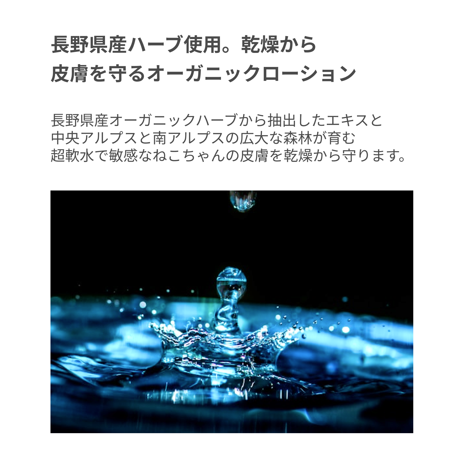 LARU/LARU(ラルラル)の猫用スキンローションは、長野県産ハーブ使用。乾燥から
皮膚を守るオーガニックローション
長野県産オーガニックハーブから抽出したエキスと
中央アルプスと南アルプスの広大な森林が育む
超軟水で敏感なワンちゃんの皮膚を乾燥から守ります。