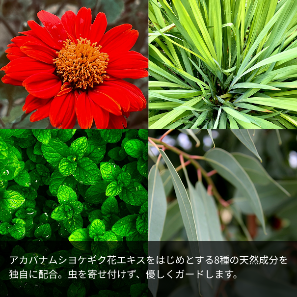 【犬猫ペット・人兼用】アウトドアスプレー（100%天然植物由来・マダニ対策にも）