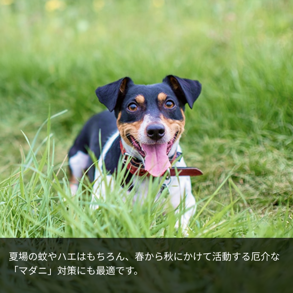 【犬猫ペット・人兼用】アウトドアスプレー（100%天然植物由来・マダニ対策にも）