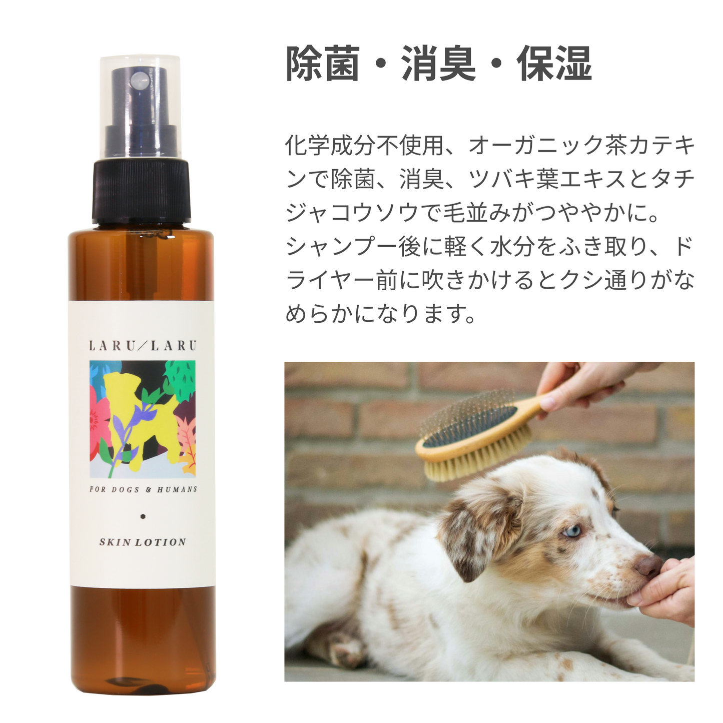 除菌・消臭・保湿
化学成分不使用、オーガニック茶カテキンで除菌、消臭、ツバキ葉エキスとタチジャコウソウで毛並みがつややかに。
シャンプー後に軽く水分をふき取り、ドライヤー前に吹きかけるとクシ通りがなめらかになります。