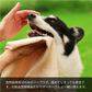 【犬用】ハーブソープ 150ml