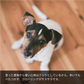 LARU/LARU（ラルラル）の犬猫肉球スキンクリームは、塗った直後から使い心地はさらりとしているから、歩いてもべたつかず、フローリングかサラサラです。