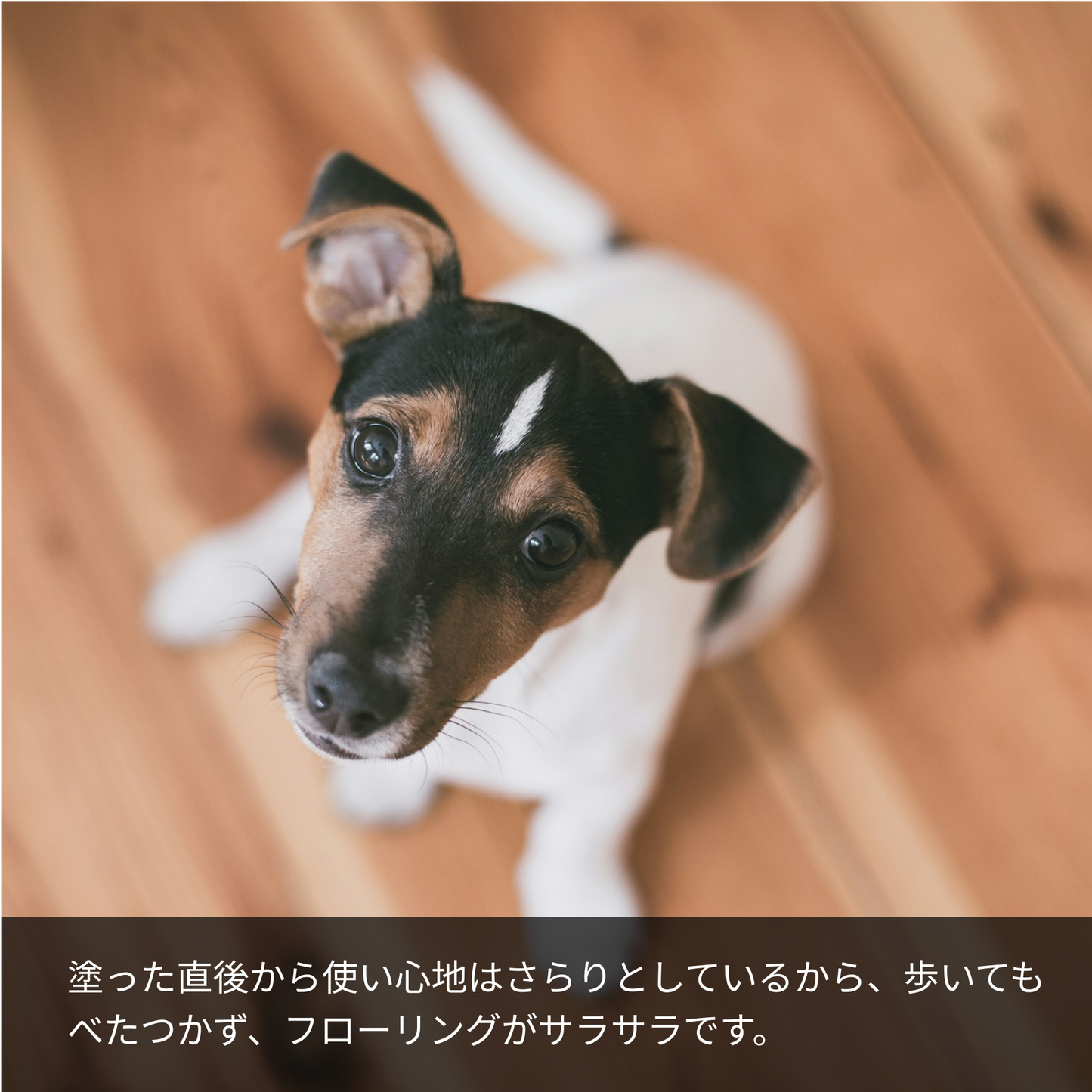LARU/LARU（ラルラル）の犬猫肉球スキンクリームは、塗った直後から使い心地はさらりとしているから、歩いてもべたつかず、フローリングかサラサラです。