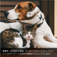 LARU/LARU（ラルラル）の犬猫肉球スキンクリームは、無着色、化学成分不使用、オーガニックハーブブレンドのクリームです。デリケートな肛門や肉球を優しくケアします。