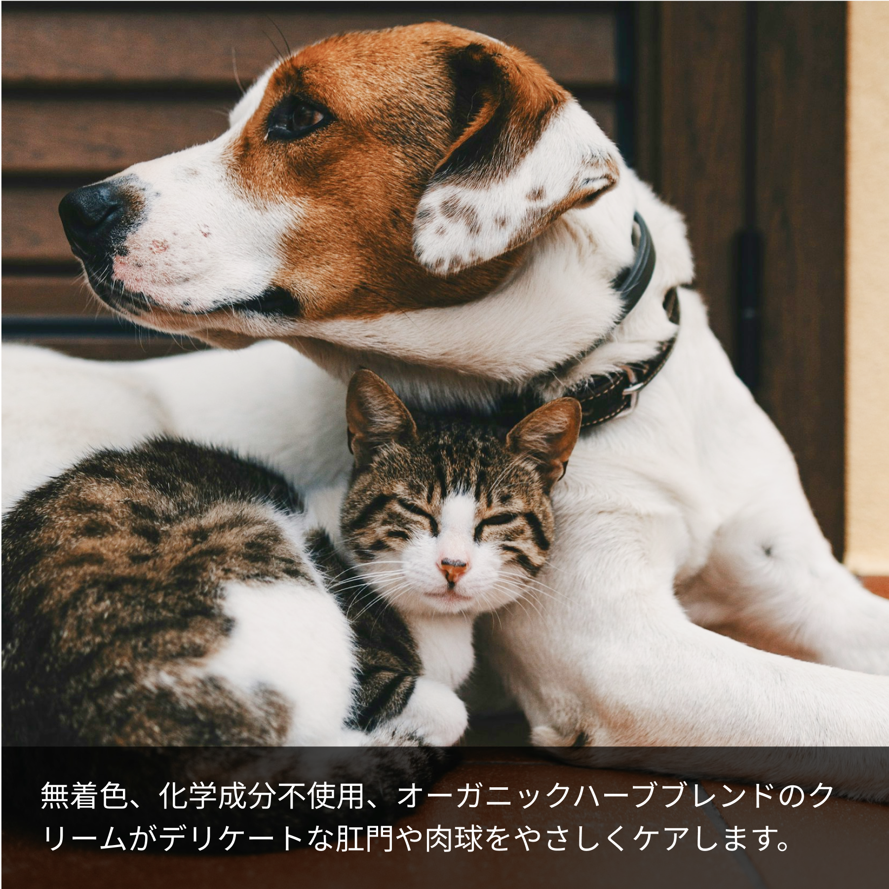 LARU/LARU（ラルラル）の犬猫肉球スキンクリームは、無着色、化学成分不使用、オーガニックハーブブレンドのクリームです。デリケートな肛門や肉球を優しくケアします。