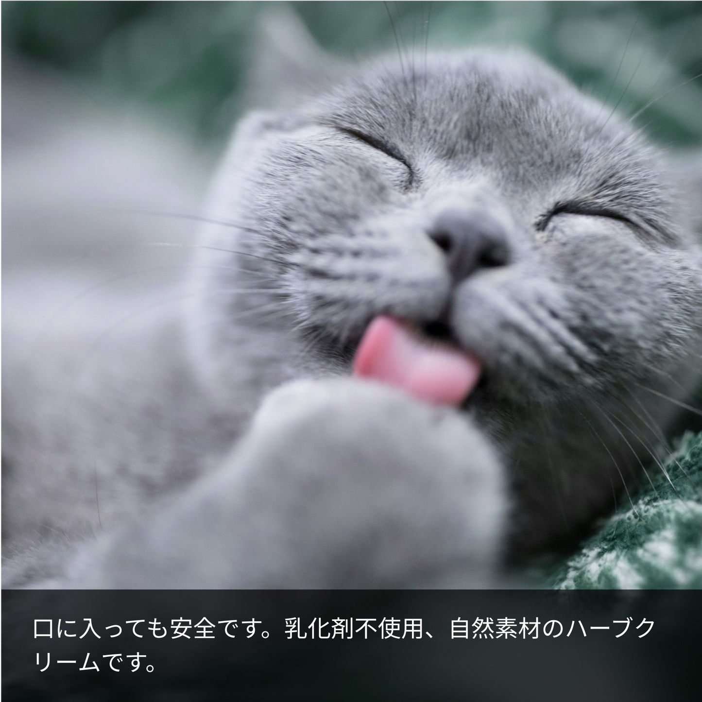 LARU/LARU（ラルラル）の犬猫肉球スキンクリームは、犬、猫が舐めても安全です。乳化剤不使用、天然素材のハーブクリームです。