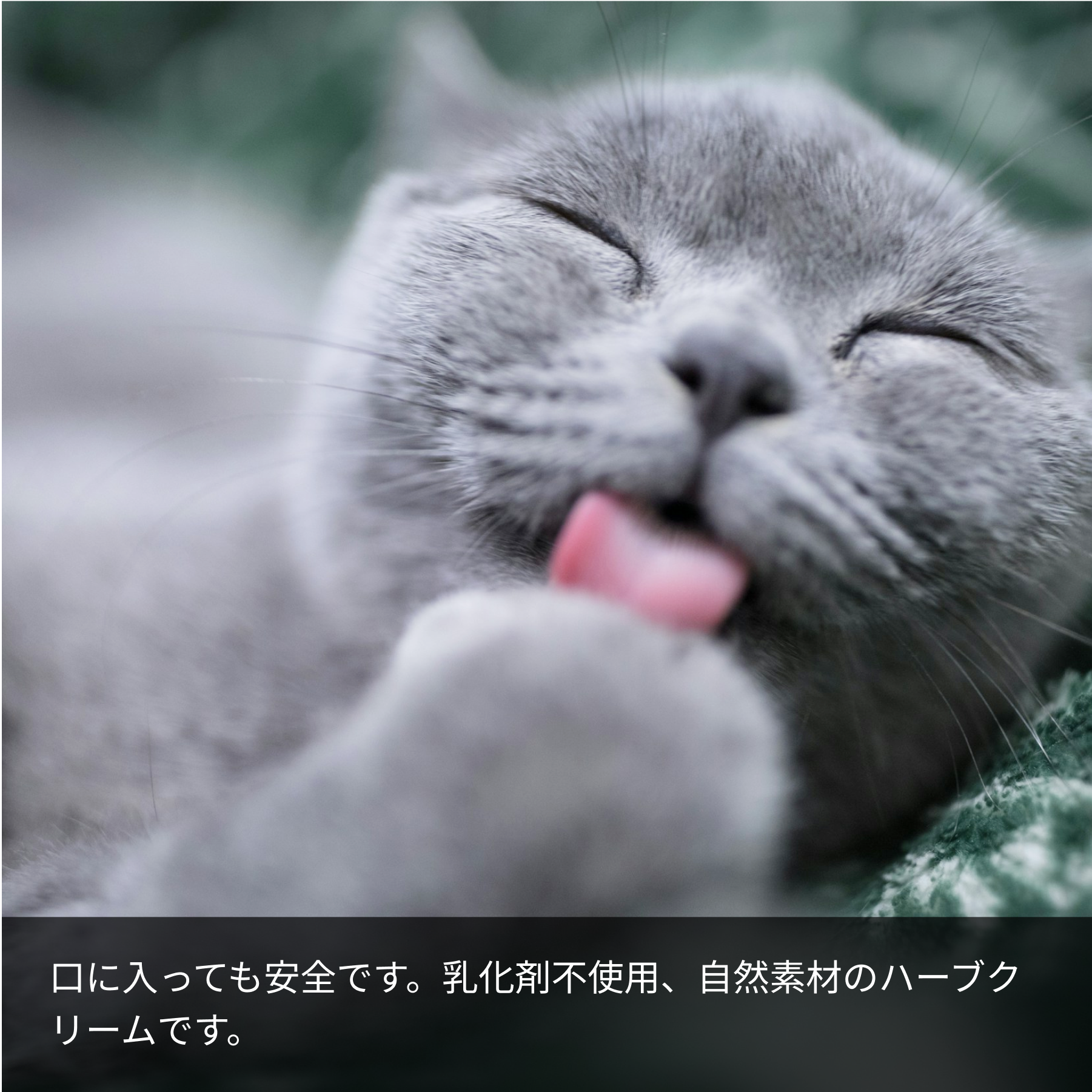 LARU/LARU（ラルラル）の犬猫肉球スキンクリームは、犬、猫が舐めても安全です。乳化剤不使用、天然素材のハーブクリームです。