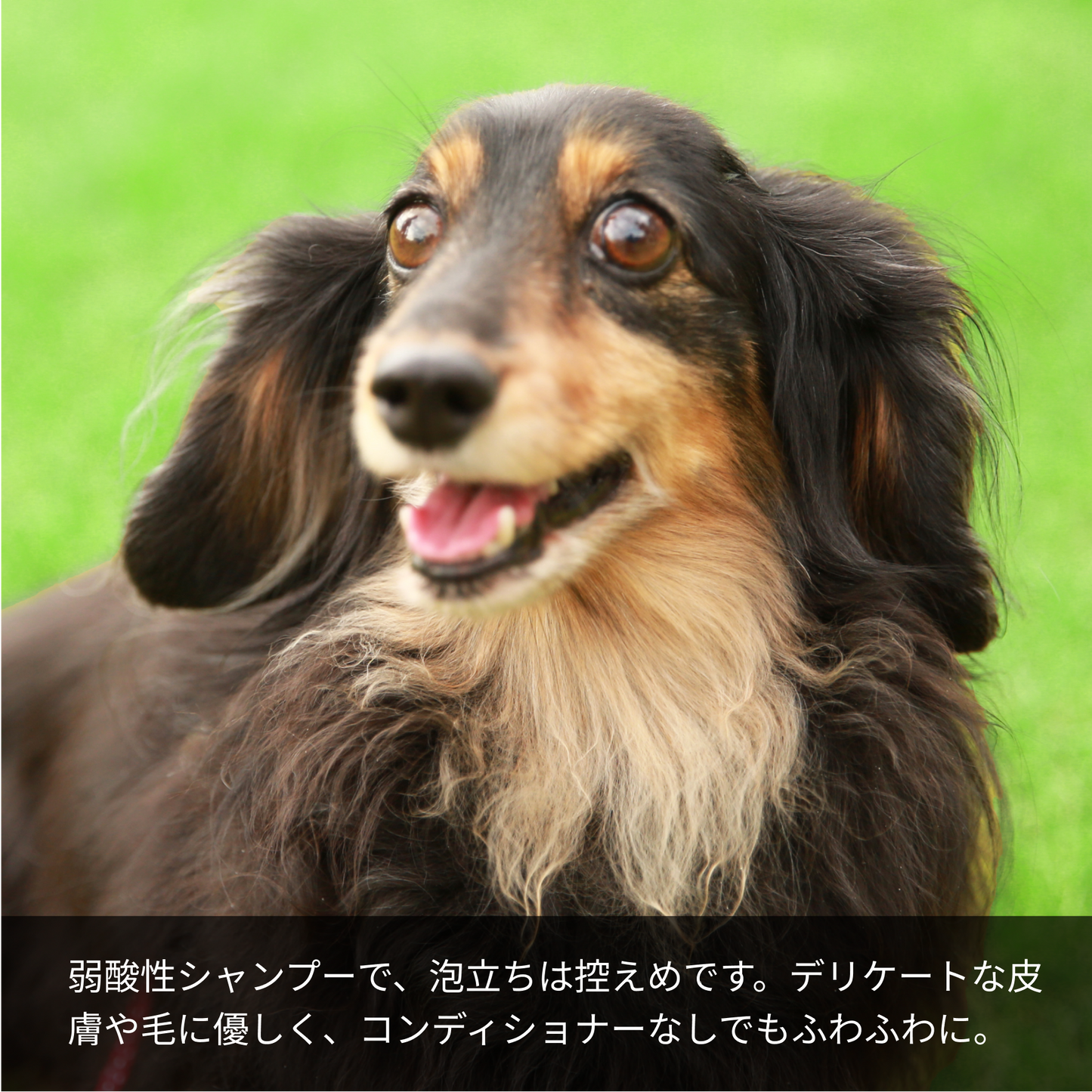 【犬猫ペット用】アミノ酸系弱酸性シャンプー（肌が弱い子向け） 150ml